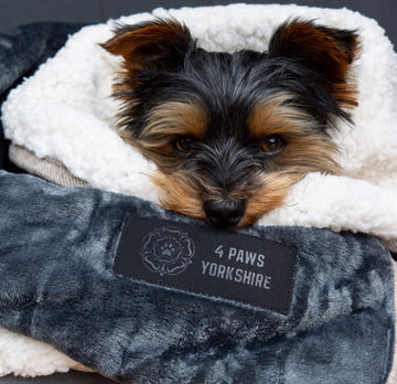 Black and brown Yorkshire terrier wrapped in a 4 paws Yorkshire 100% waterproof dog blanket. The blanket is cream sherpa, grey flannel and has a logo in black. 