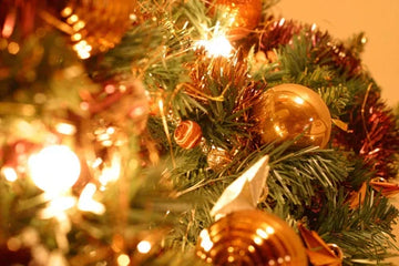 Keeping your dog safe during the holidays