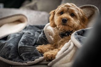 Waterproof Pet Blankets by 4 Paws Yorkshire