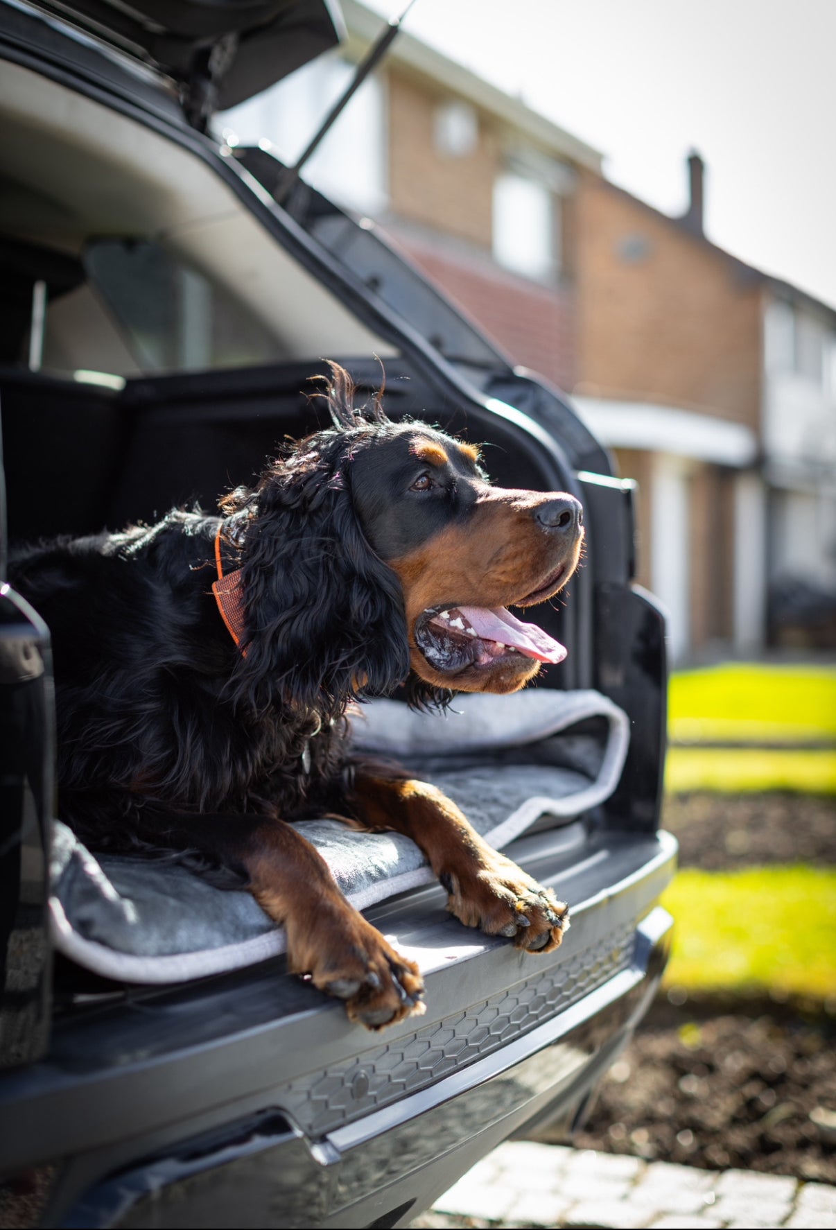 Premium Waterproof Pet Blanket