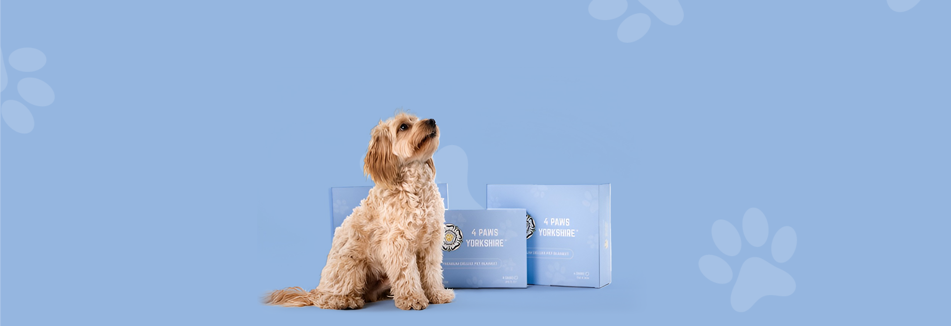 slider image slider_item_Pi6cw4