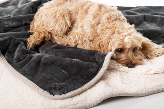 Waterproof Pet Blankets